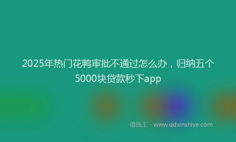2025年热门花鸭审批不通过怎么办，归纳五个5000块贷款秒下app