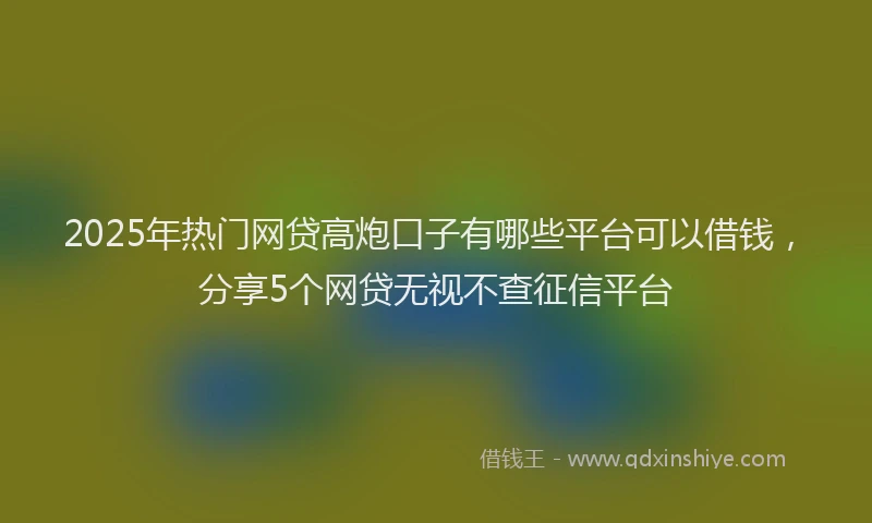 2025年热门网贷高炮口子有哪些平台可以借钱，分享5个网贷无视不查征信平台