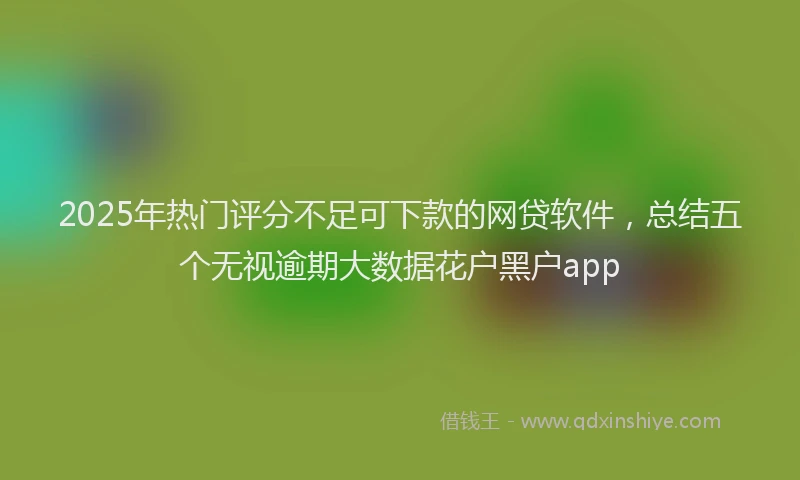 2025年热门评分不足可下款的网贷软件，总结五个无视逾期大数据花户黑户app