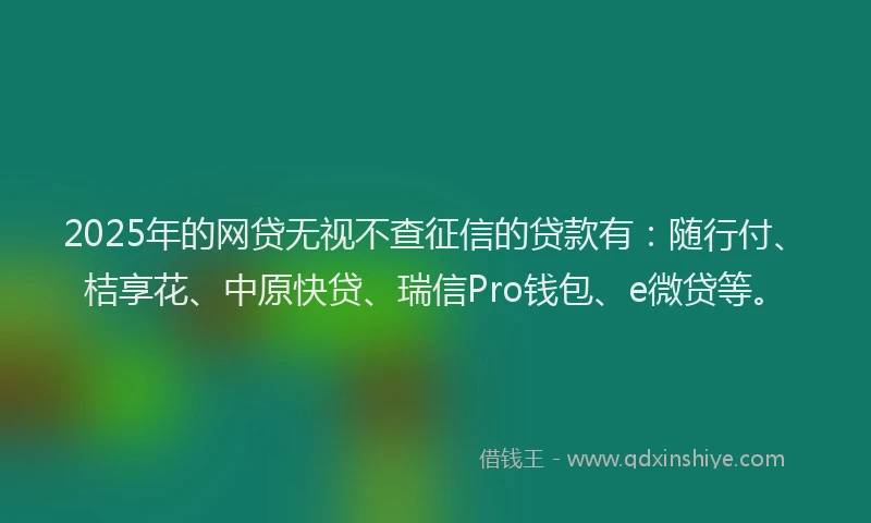 2025年的网贷无视不查征信的贷款有：随行付、桔享花、中原快贷、瑞信Pro钱包、e微贷等。