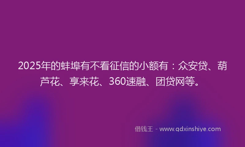 2025年的蚌埠有不看征信的小额有：众安贷、葫芦花、享来花、360速融、团贷网等。