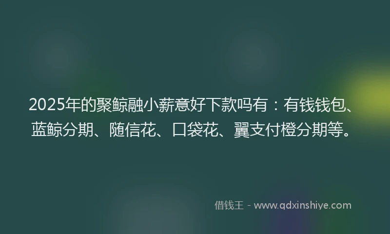 2025年的聚鲸融小薪意好下款吗有：有钱钱包、蓝鲸分期、随信花、口袋花、翼支付橙分期等。