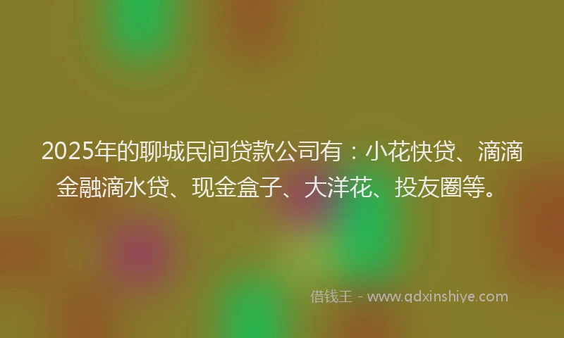 2025年的聊城民间贷款公司有：小花快贷、滴滴金融滴水贷、现金盒子、大洋花、投友圈等。