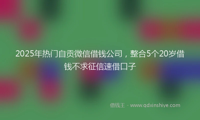 2025年热门自贡微信借钱公司，整合5个20岁借钱不求征信速借口子