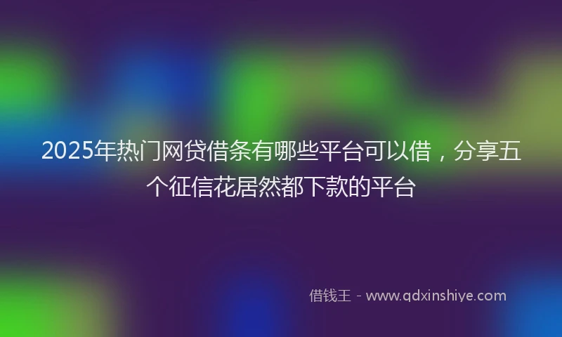 2025年热门网贷借条有哪些平台可以借，分享五个征信花居然都下款的平台