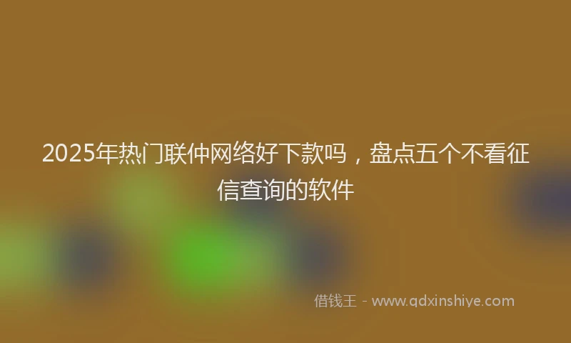2025年热门联仲网络好下款吗，盘点五个不看征信查询的软件