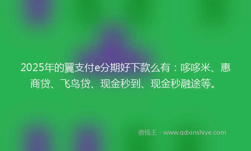 2025年的翼支付e分期好下款么有：哆哆米、惠商贷、飞鸟贷、现金秒到、现金秒融途等。