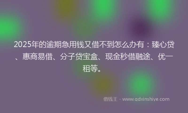 2025年的逾期急用钱又借不到怎么办有：臻心贷、惠商易借、分子贷宝盒、现金秒借融途、优一租等。