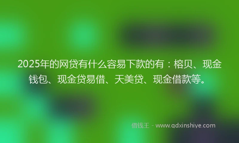 2025年的网贷有什么容易下款的有：榕贝、现金钱包、现金贷易借、天美贷、现金借款等。