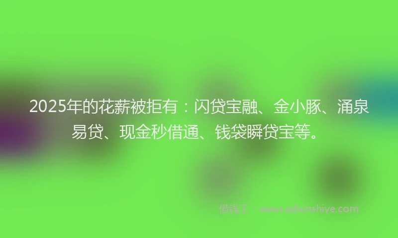 2025年的花薪被拒有：闪贷宝融、金小豚、涌泉易贷、现金秒借通、钱袋瞬贷宝等。