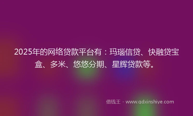2025年的网络贷款平台有：玛瑙信贷、快融贷宝盒、多米、悠悠分期、星辉贷款等。