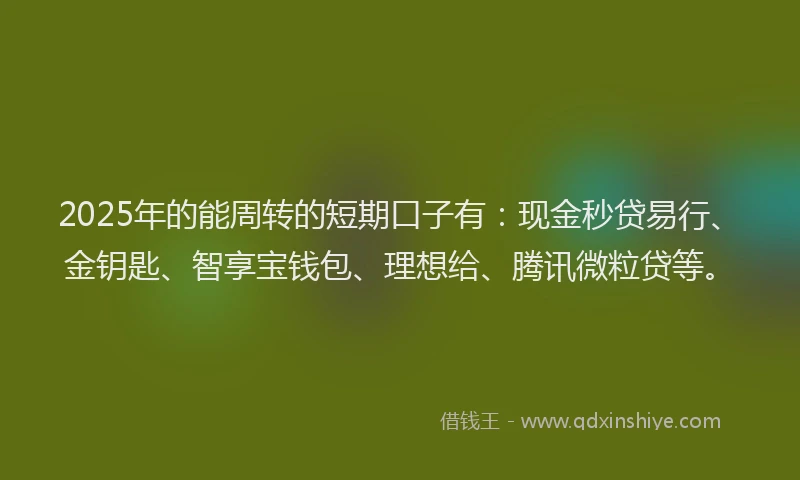 2025年的能周转的短期口子有：现金秒贷易行、金钥匙、智享宝钱包、理想给、腾讯微粒贷等。