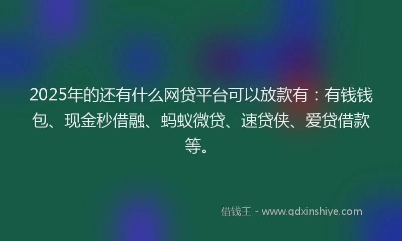 2025年的还有什么网贷平台可以放款有：有钱钱包、现金秒借融、蚂蚁微贷、速贷侠、爱贷借款等。