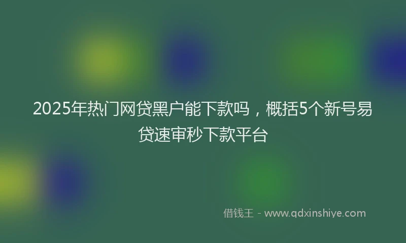 2025年热门网贷黑户能下款吗，概括5个新号易贷速审秒下款平台