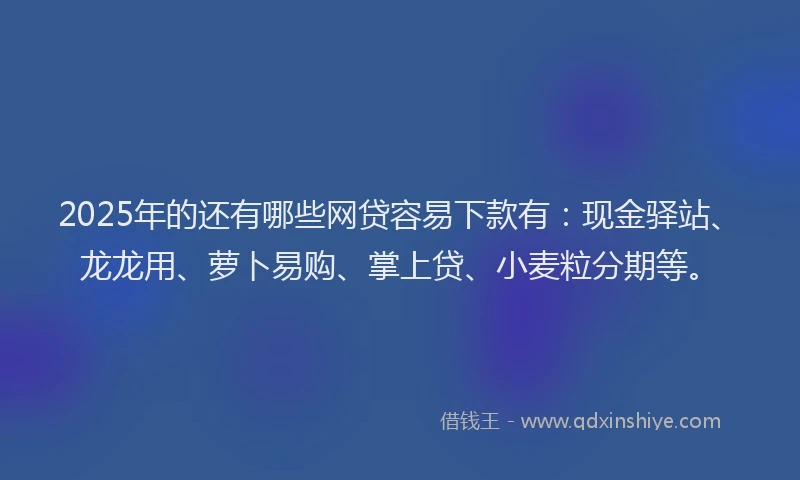 2025年的还有哪些网贷容易下款有：现金驿站、龙龙用、萝卜易购、掌上贷、小麦粒分期等。