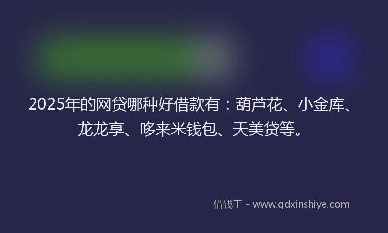 2025年的网贷哪种好借款有：葫芦花、小金库、龙龙享、哆来米钱包、天美贷等。