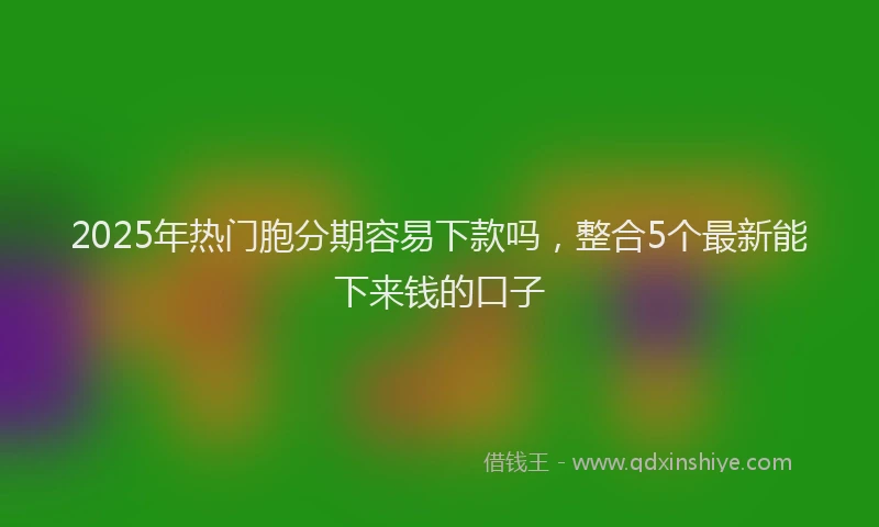 2025年热门胞分期容易下款吗，整合5个最新能下来钱的口子