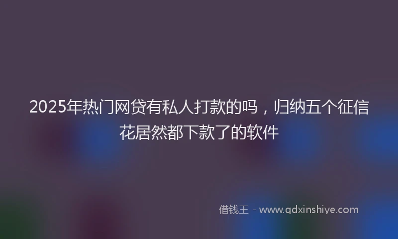 2025年热门网贷有私人打款的吗，归纳五个征信花居然都下款了的软件
