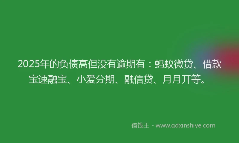 2025年的负债高但没有逾期有：蚂蚁微贷、借款宝速融宝、小爱分期、融信贷、月月开等。