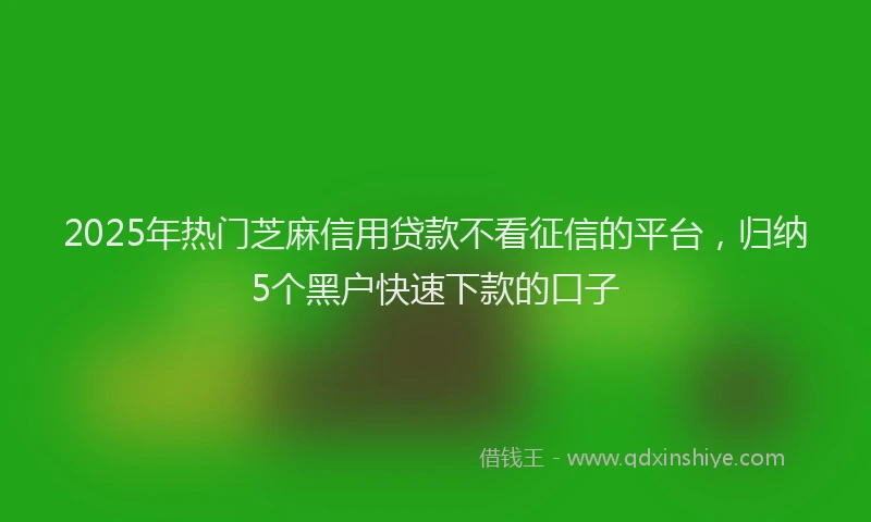 2025年热门芝麻信用贷款不看征信的平台，归纳5个黑户快速下款的口子