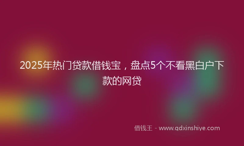 2025年热门贷款借钱宝，盘点5个不看黑白户下款的网贷