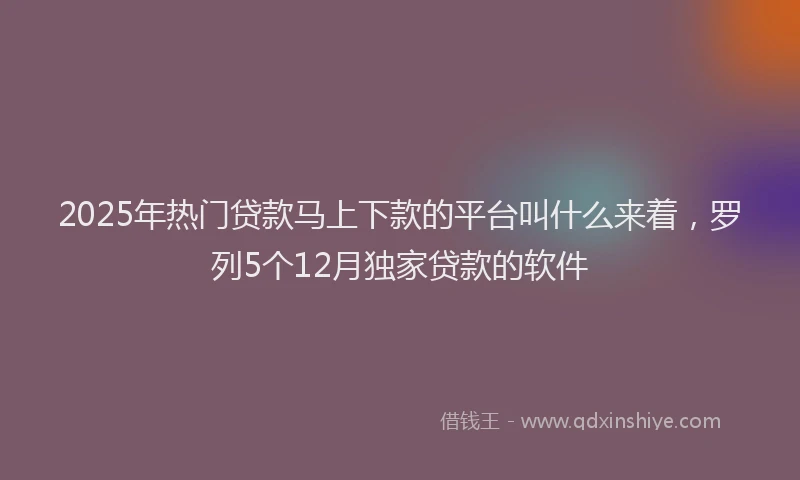 2025年热门贷款马上下款的平台叫什么来着，罗列5个12月独家贷款的软件