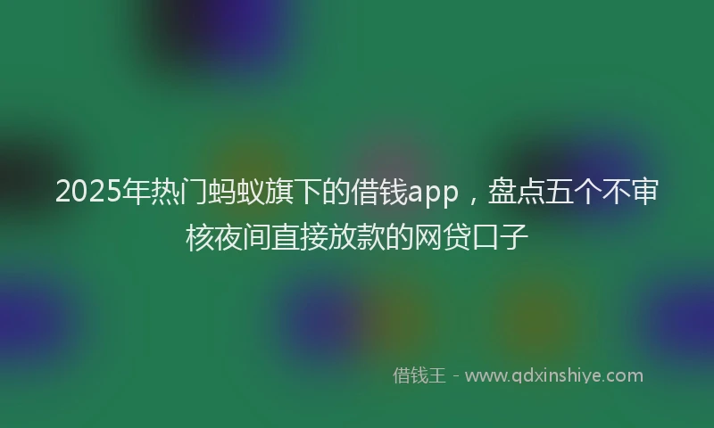 2025年热门蚂蚁旗下的借钱app，盘点五个不审核夜间直接放款的网贷口子