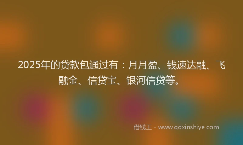 2025年的贷款包通过有：月月盈、钱速达融、飞融金、信贷宝、银河信贷等。
