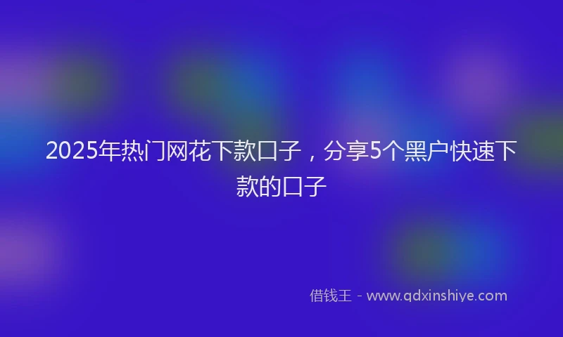 2025年热门网花下款口子，分享5个黑户快速下款的口子