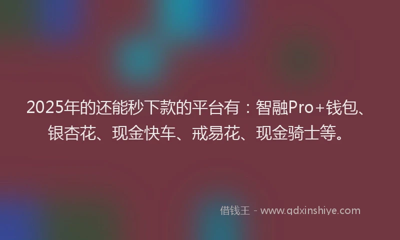 2025年的还能秒下款的平台有：智融Pro+钱包、银杏花、现金快车、戒易花、现金骑士等。