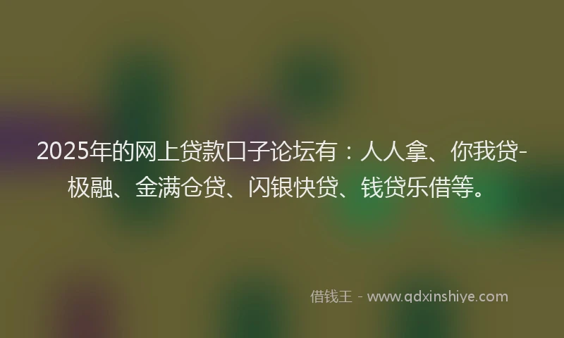 2025年的网上贷款口子论坛有：人人拿、你我贷-极融、金满仓贷、闪银快贷、钱贷乐借等。