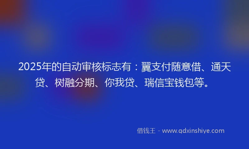 2025年的自动审核标志有：翼支付随意借、通天贷、树融分期、你我贷、瑞信宝钱包等。