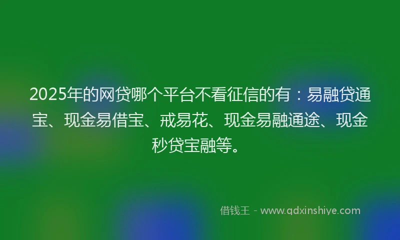 2025年的网贷哪个平台不看征信的有：易融贷通宝、现金易借宝、戒易花、现金易融通途、现金秒贷宝融等。