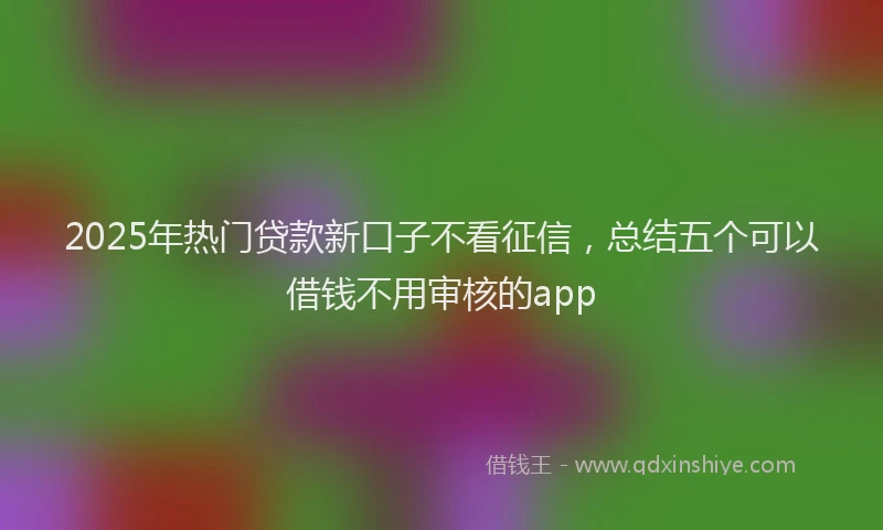2025年热门贷款新口子不看征信，总结五个可以借钱不用审核的app