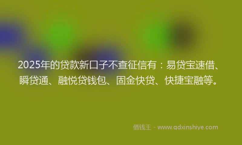 2025年的贷款新口子不查征信有：易贷宝速借、瞬贷通、融悦贷钱包、固金快贷、快捷宝融等。