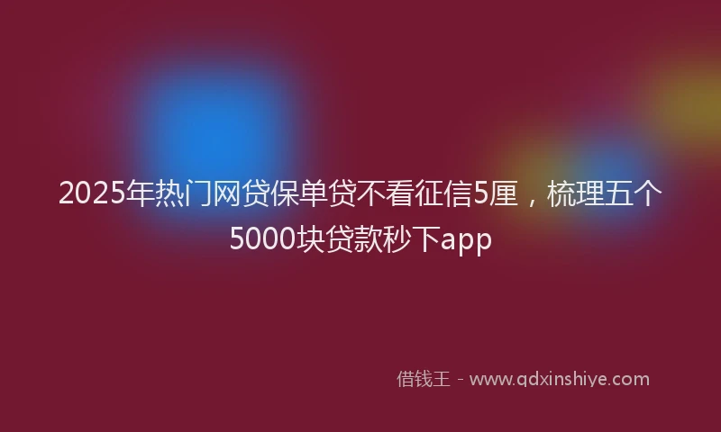 2025年热门网贷保单贷不看征信5厘，梳理五个5000块贷款秒下app