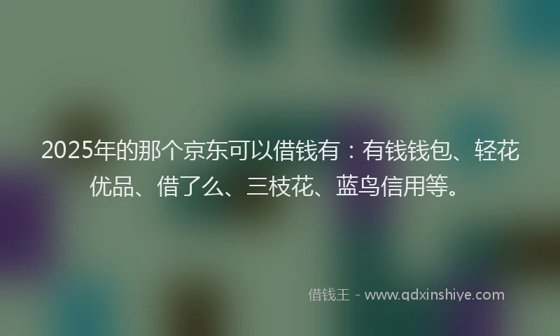 2025年的那个京东可以借钱有：有钱钱包、轻花优品、借了么、三枝花、蓝鸟信用等。