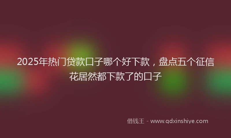 2025年热门贷款口子哪个好下款，盘点五个征信花居然都下款了的口子