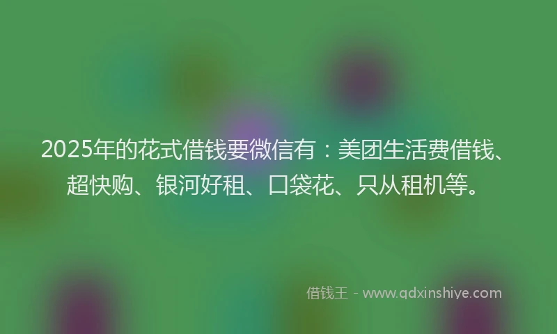 2025年的花式借钱要微信有：美团生活费借钱、超快购、银河好租、口袋花、只从租机等。