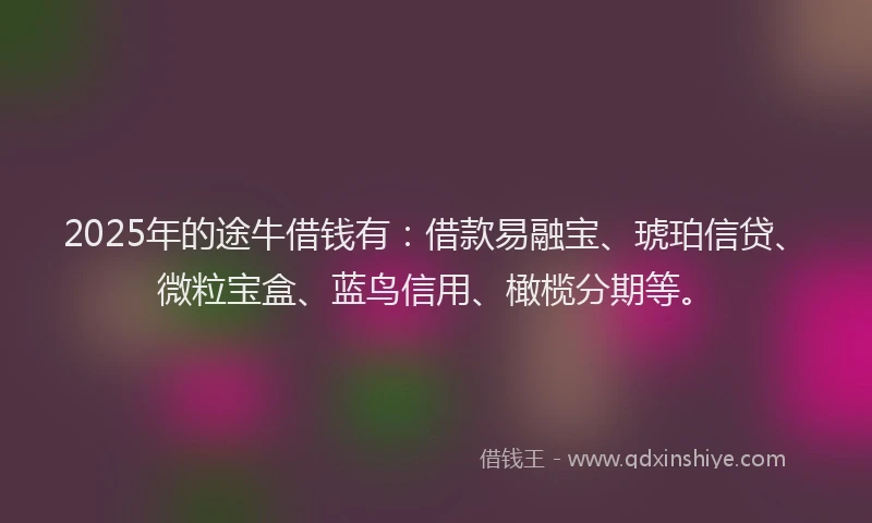 2025年的途牛借钱有：借款易融宝、琥珀信贷、微粒宝盒、蓝鸟信用、橄榄分期等。