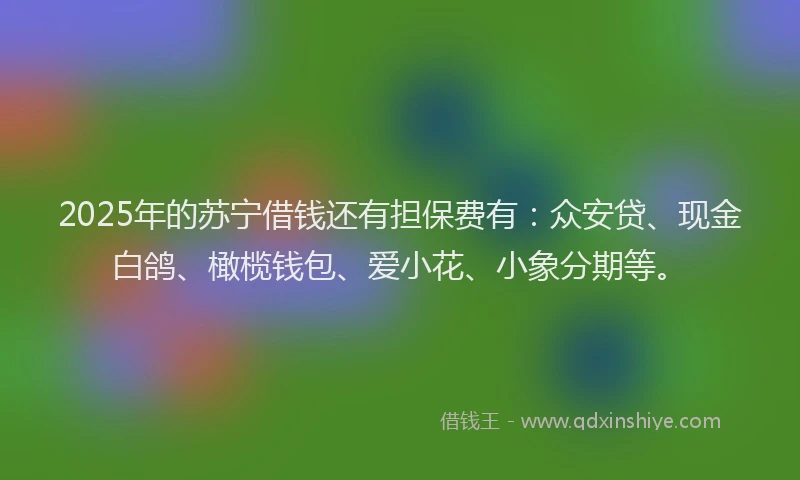 2025年的苏宁借钱还有担保费有：众安贷、现金白鸽、橄榄钱包、爱小花、小象分期等。