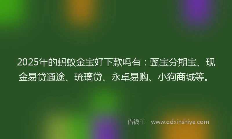 2025年的蚂蚁金宝好下款吗有：甄宝分期宝、现金易贷通途、琉璃贷、永卓易购、小狗商城等。