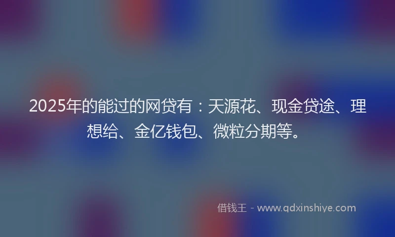 2025年的能过的网贷有：天源花、现金贷途、理想给、金亿钱包、微粒分期等。
