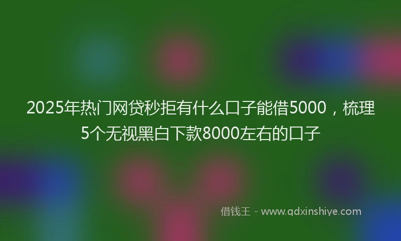 2025年热门网贷秒拒有什么口子能借5000，梳理5个无视黑白下款8000左右的口子
