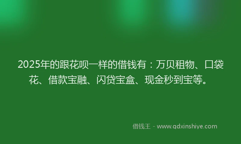 2025年的跟花呗一样的借钱有：万贝租物、口袋花、借款宝融、闪贷宝盒、现金秒到宝等。