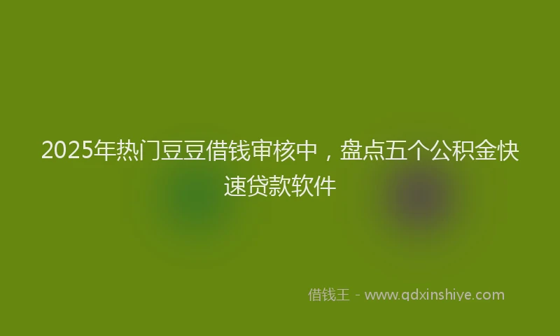 2025年热门豆豆借钱审核中，盘点五个公积金快速贷款软件