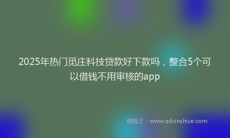 2025年热门觅庄科技贷款好下款吗，整合5个可以借钱不用审核的app