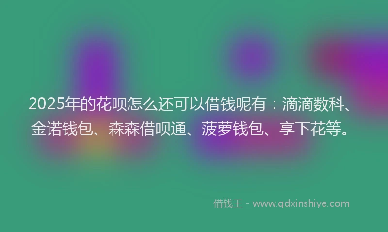 2025年的花呗怎么还可以借钱呢有：滴滴数科、金诺钱包、森森借呗通、菠萝钱包、享下花等。