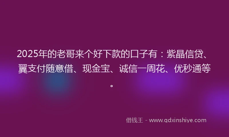 2025年的老哥来个好下款的口子有：紫晶信贷、翼支付随意借、现金宝、诚信一周花、优秒通等。