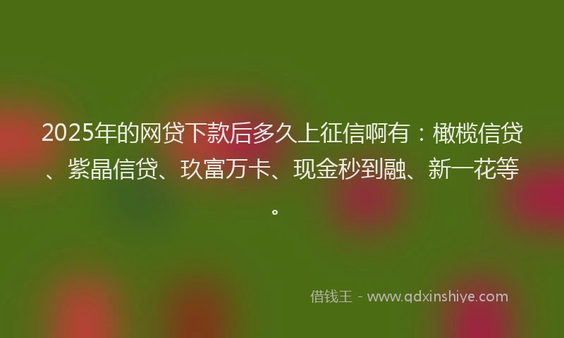 2025年的网贷下款后多久上征信啊有：橄榄信贷、紫晶信贷、玖富万卡、现金秒到融、新一花等。